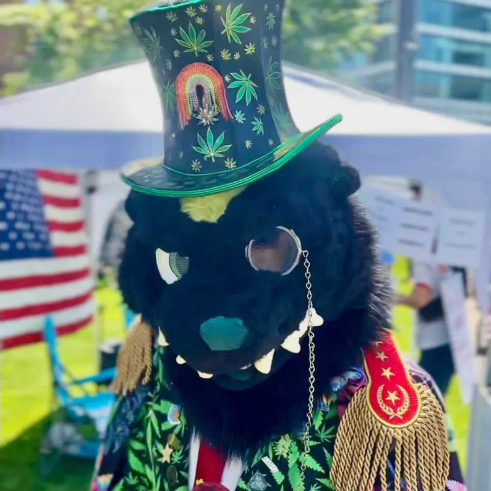 elyon113.bsky.social's profile picture