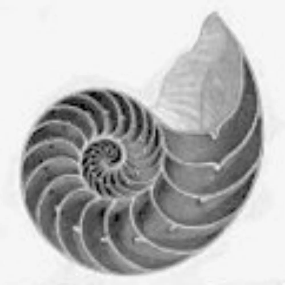 kouk.surukle.me's profile picture