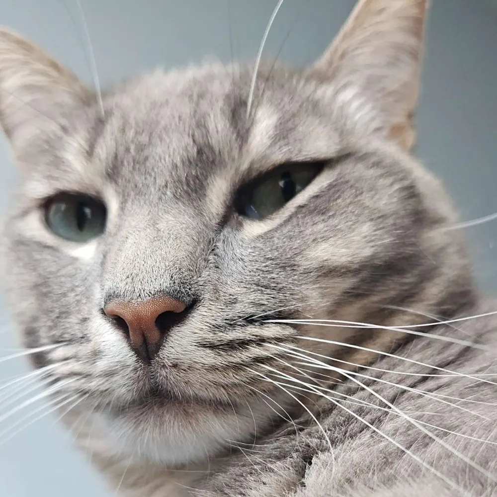 noah.exposed's profile picture