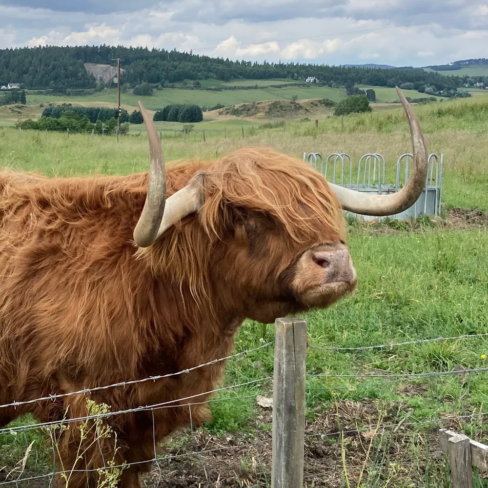 bartmalloy.bsky.social's profile picture