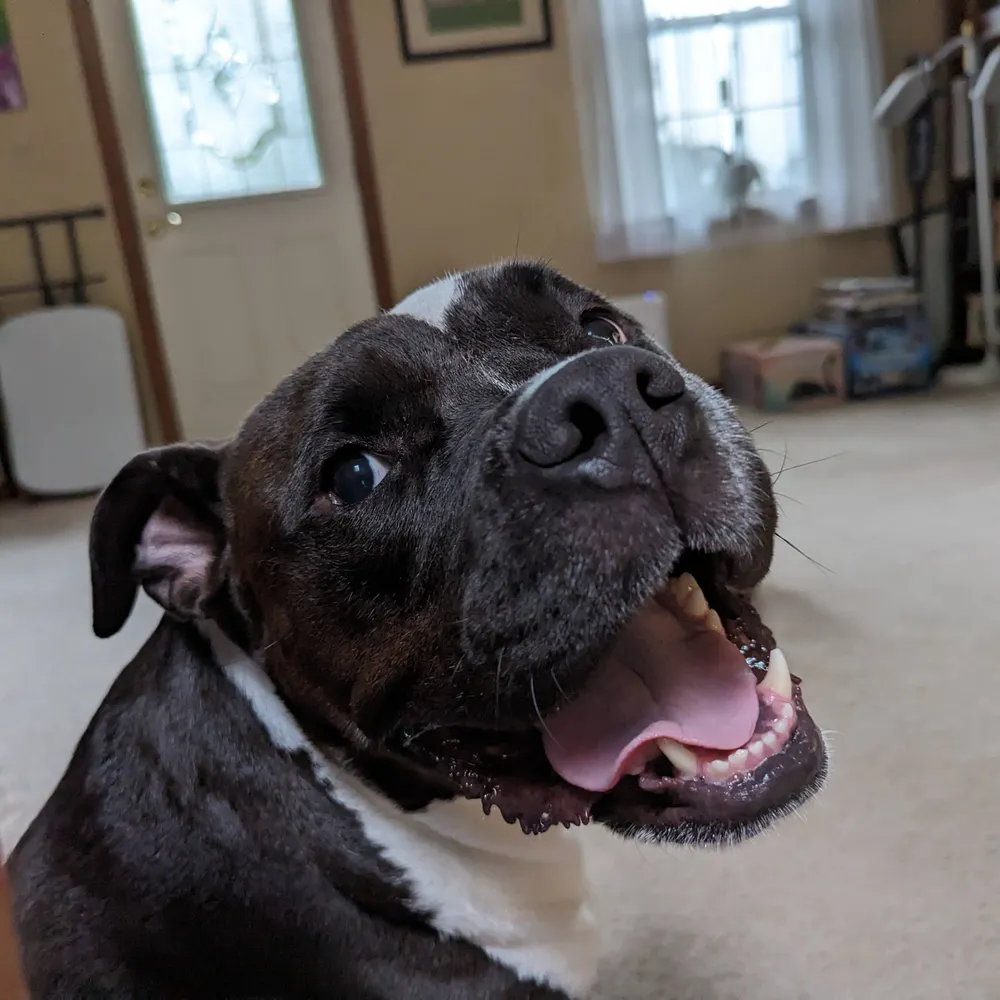 berenerd.bsky.social's profile picture