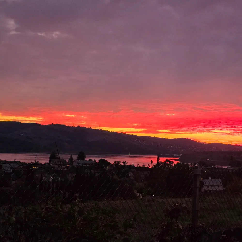 hfoster0101.bsky.social's profile picture