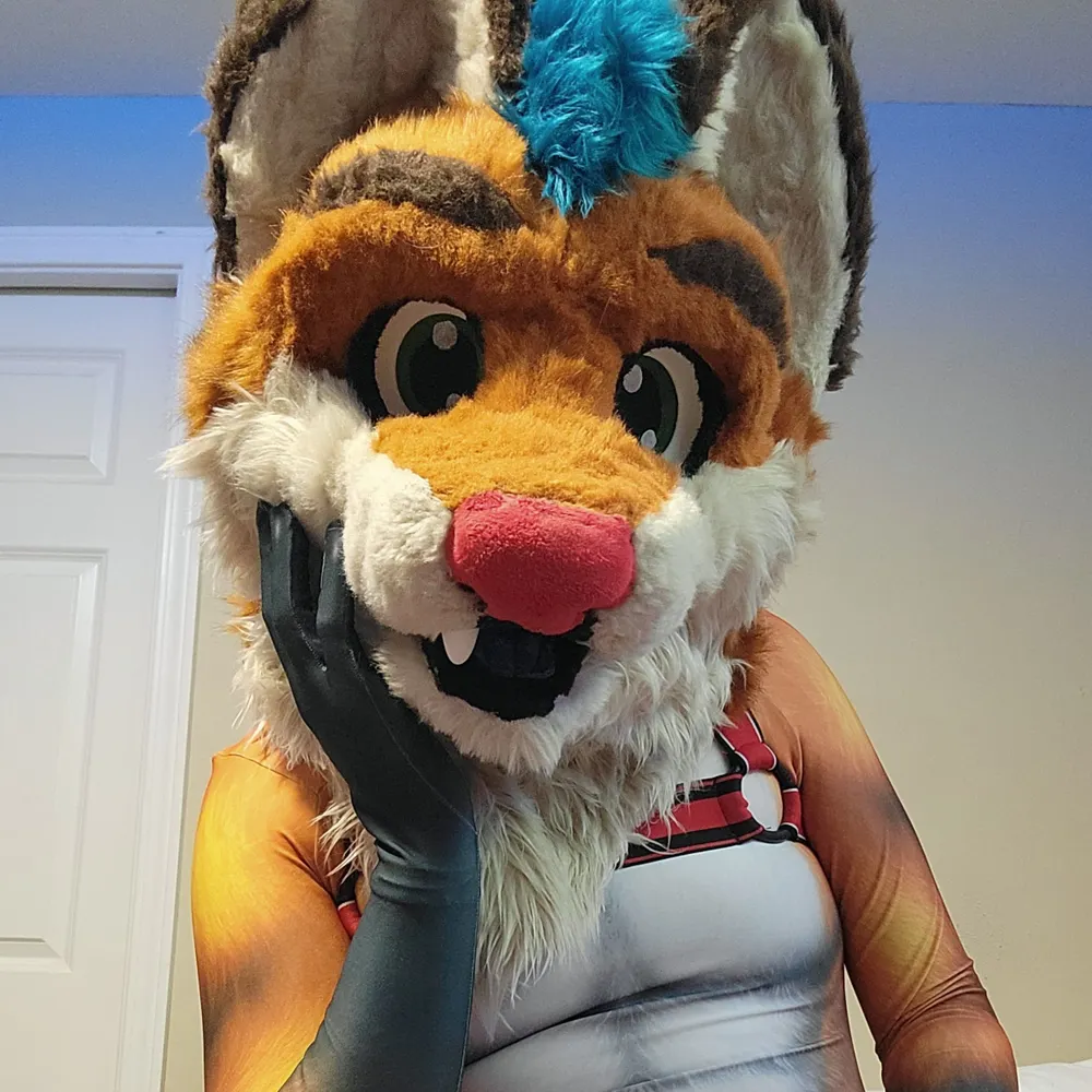 javafuxxx.bsky.social's profile picture