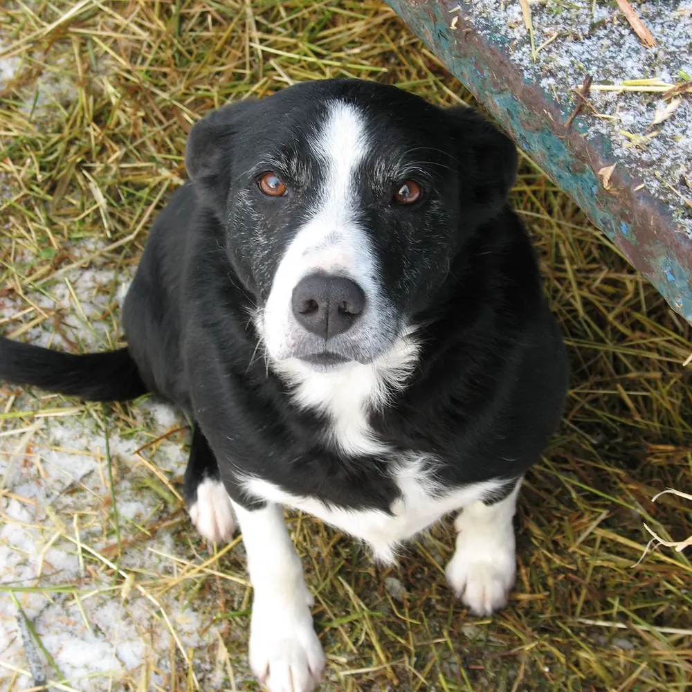 srwhitelegg.bsky.social's profile picture