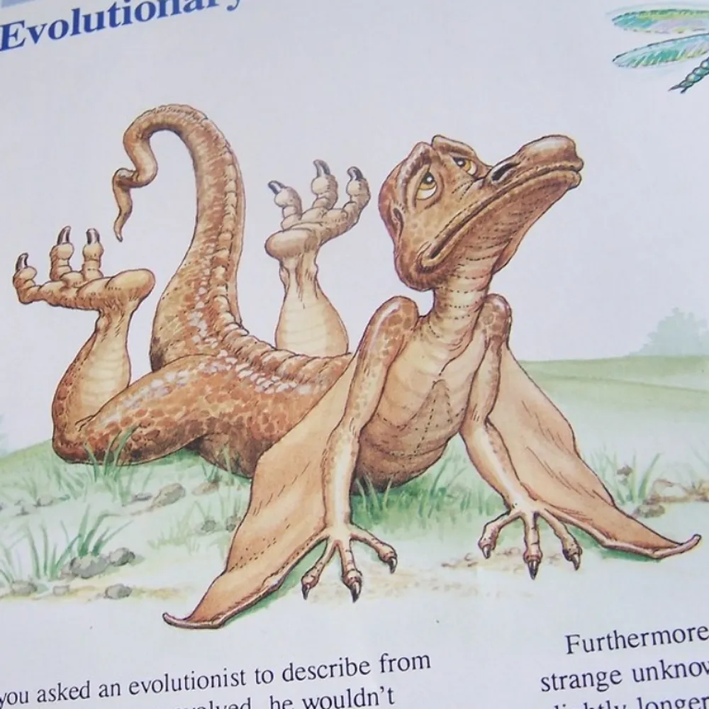 cheapneonshades.coys.social's profile picture