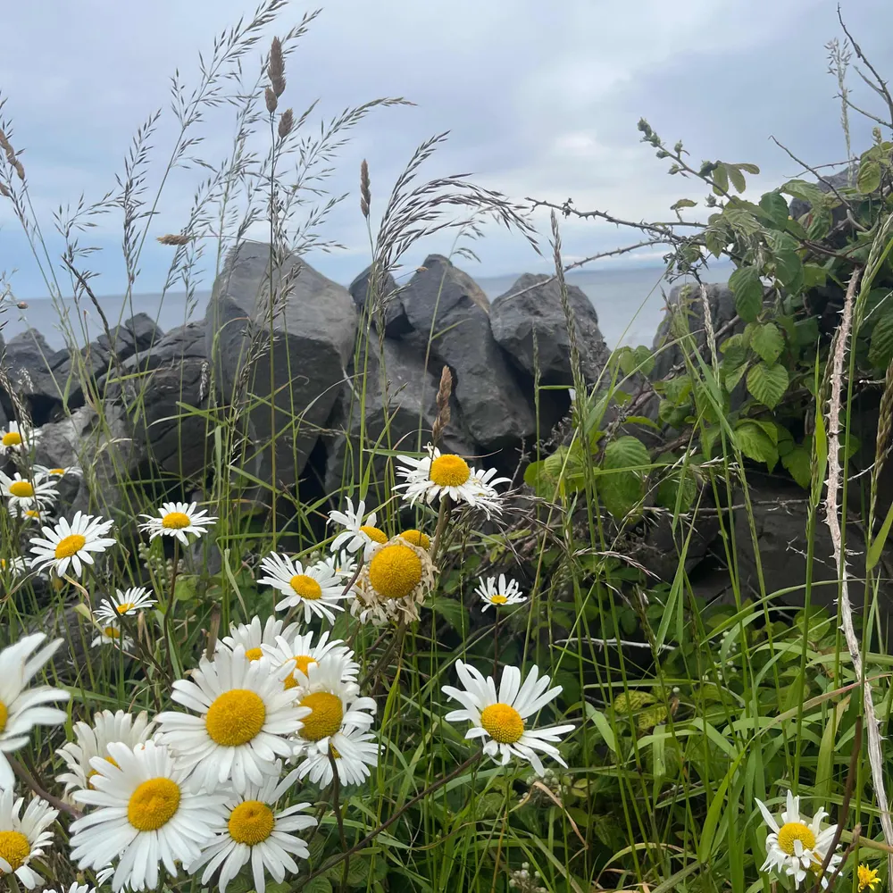 kathi88fitz.bsky.social's profile picture