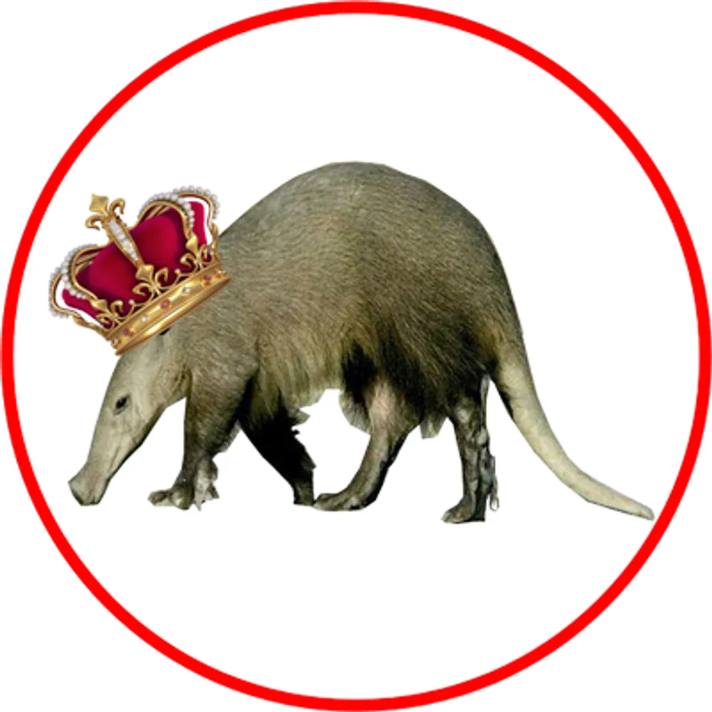 lord-aardvark.bsky.social's profile picture