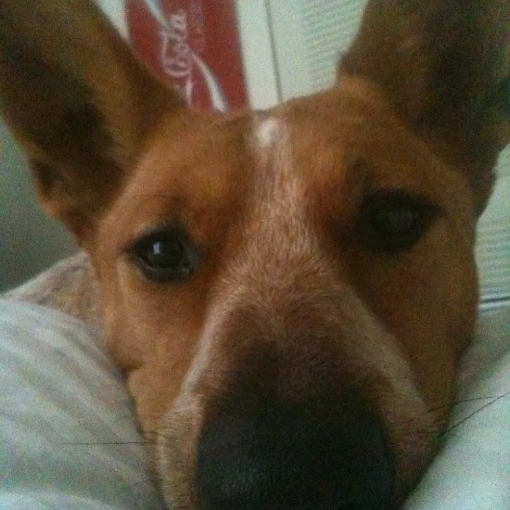 fboom55.bsky.social's profile picture