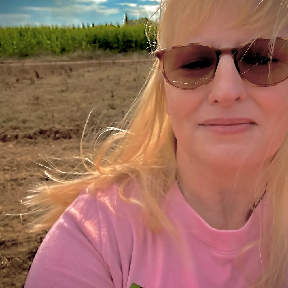 kv417.bsky.social's profile picture