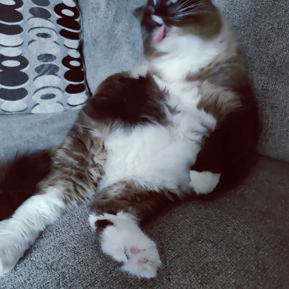 harleydadd.bsky.social's profile picture