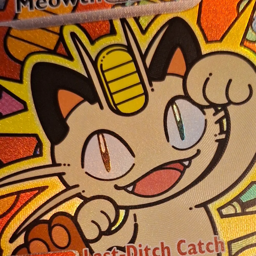 sunkernplus.bsky.social's profile picture