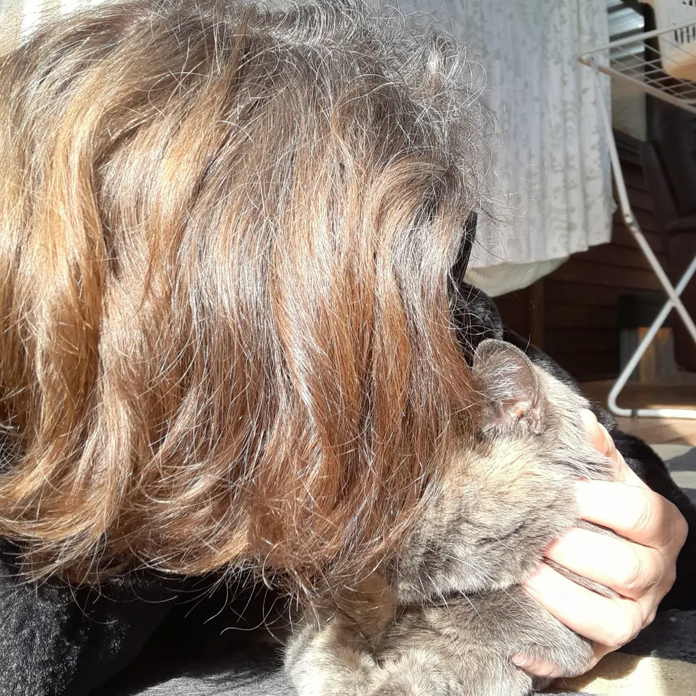 quindimarlena.bsky.social's profile picture