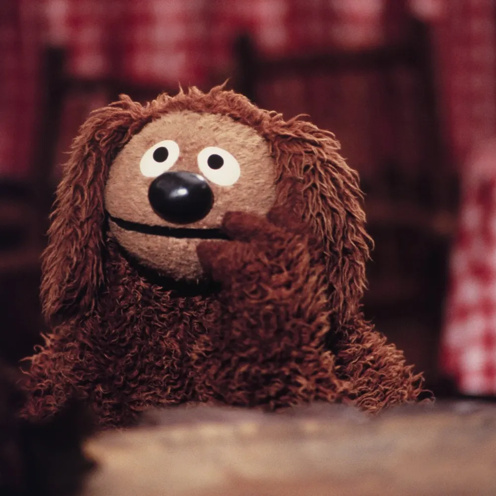 zenmuppet.bsky.social's profile picture