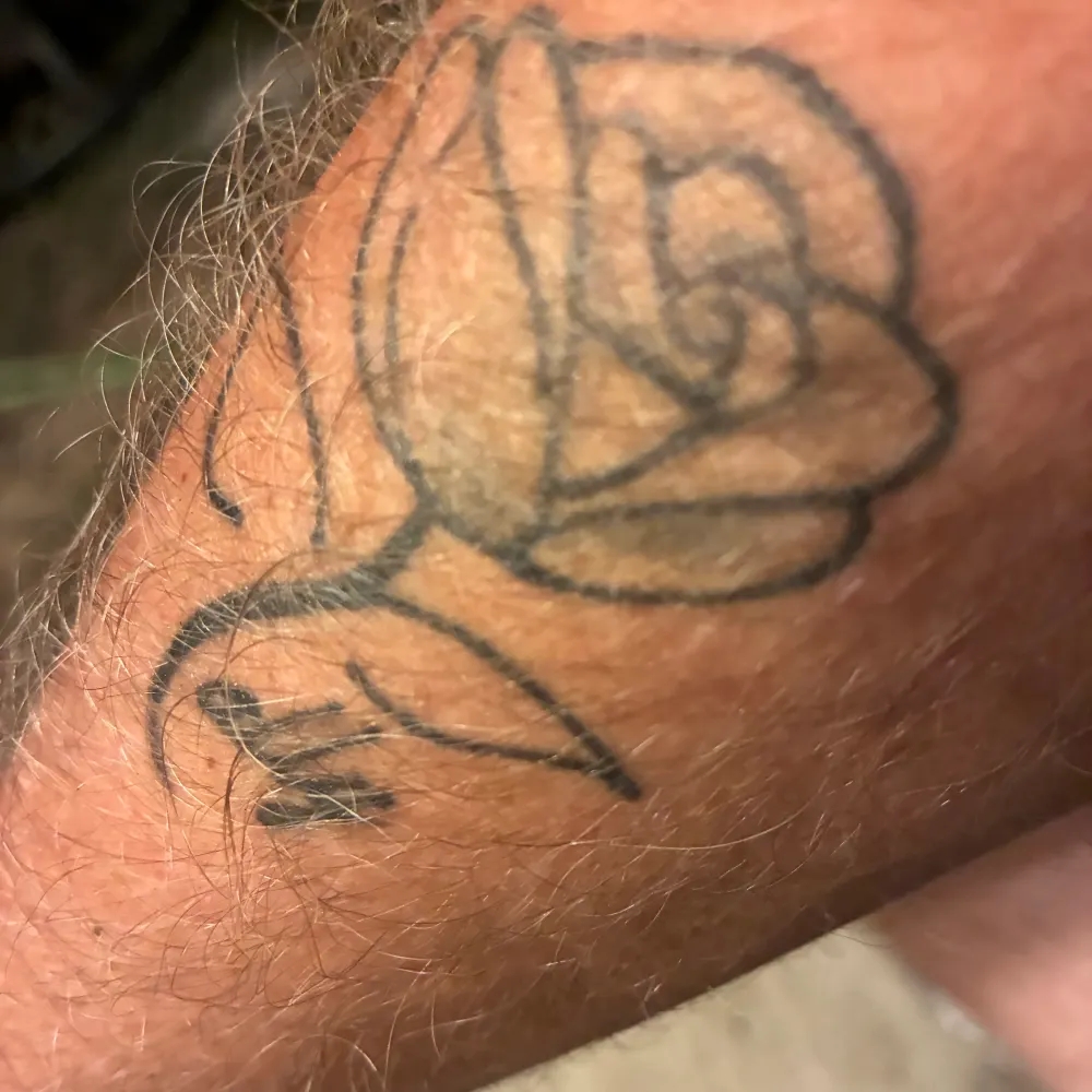 rememberalice.bsky.social's profile picture