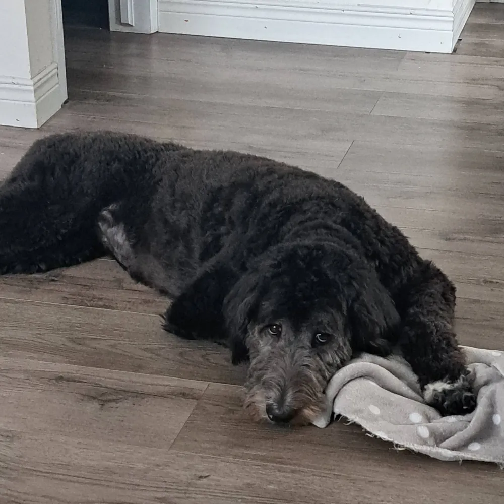 segm09.bsky.social's profile picture