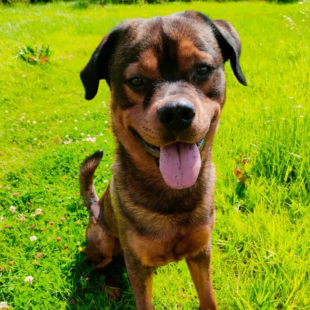 ageqned.bsky.social's profile picture