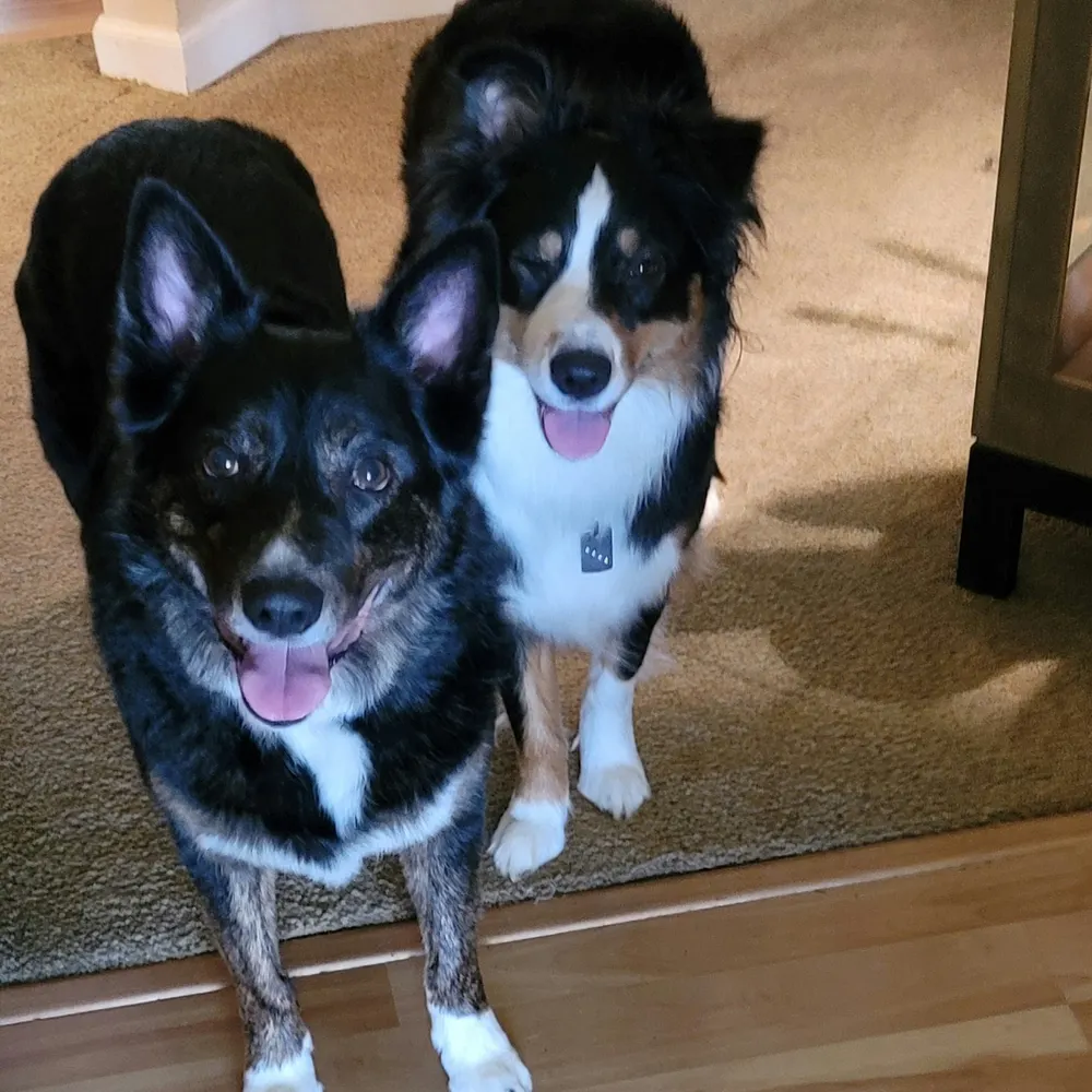 forestbirdms.bsky.social's profile picture