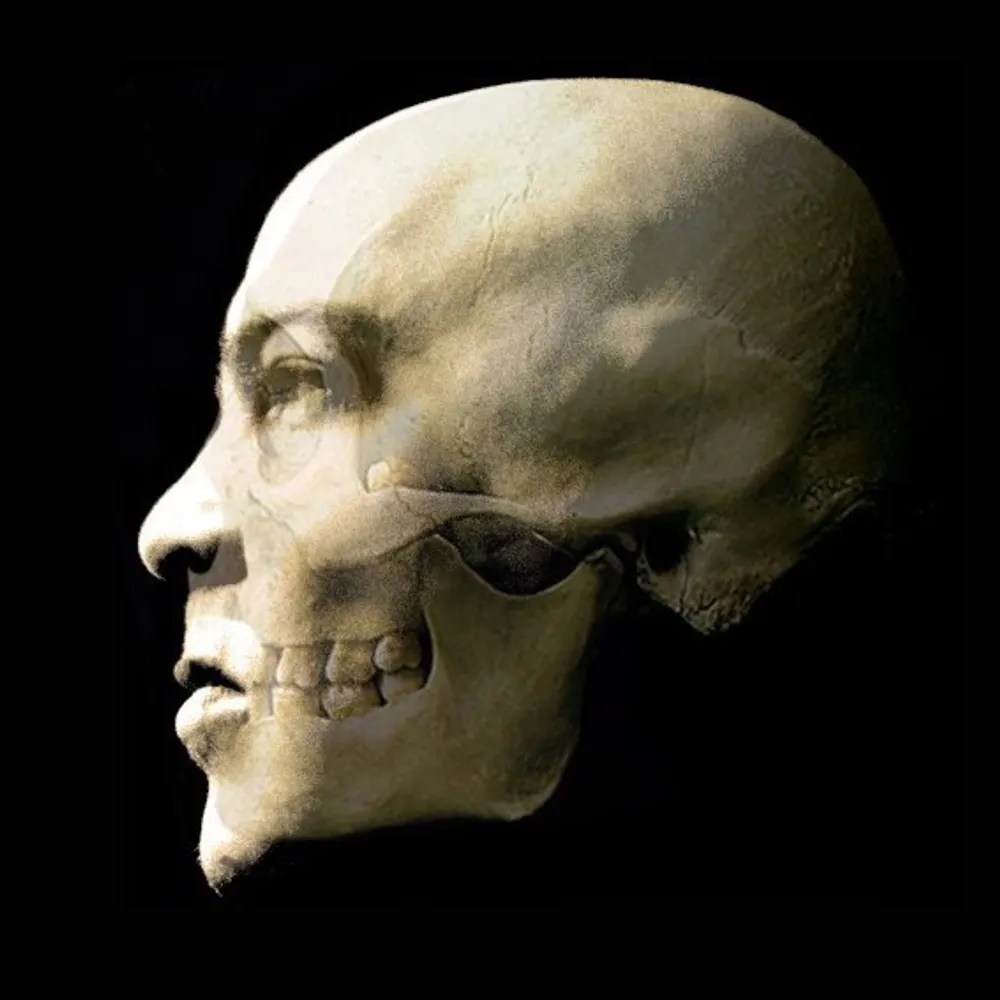 rayhayes215.bsky.social's profile picture