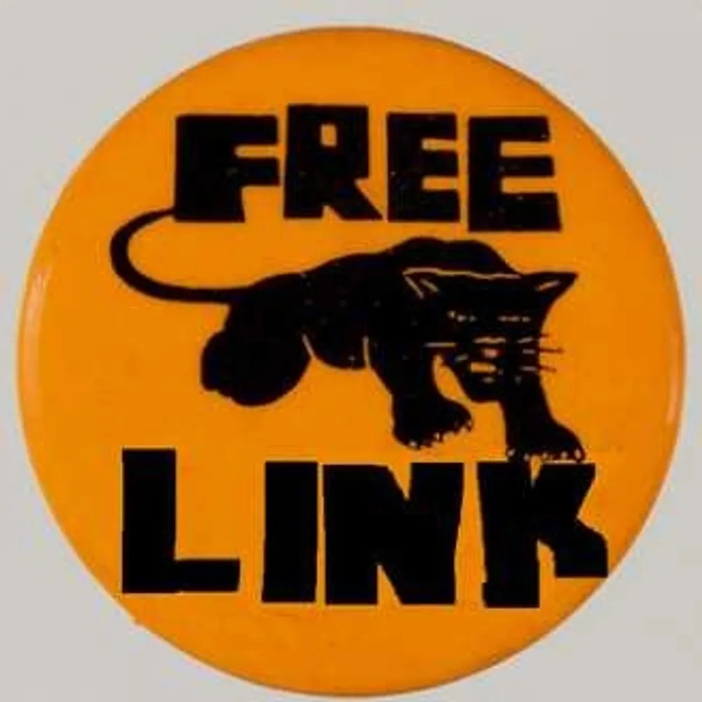 momus.bsky.social's profile picture