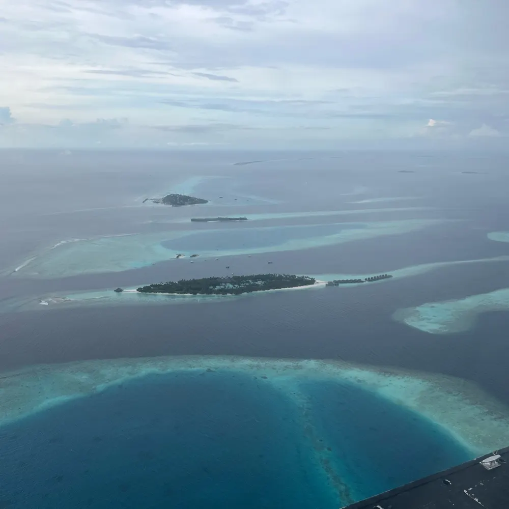 jncie6.net's profile picture