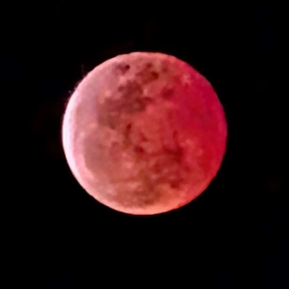 ypojoy.bsky.social's profile picture