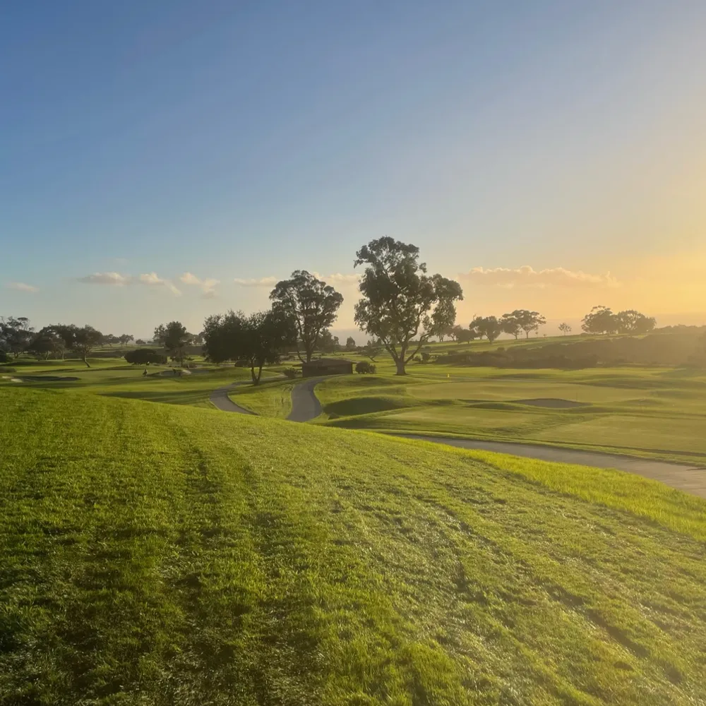 kerryout.bsky.social's profile picture