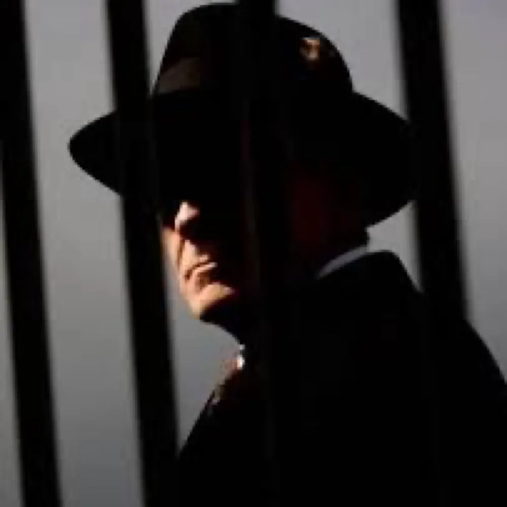 dukeofbrittany.bsky.social's profile picture