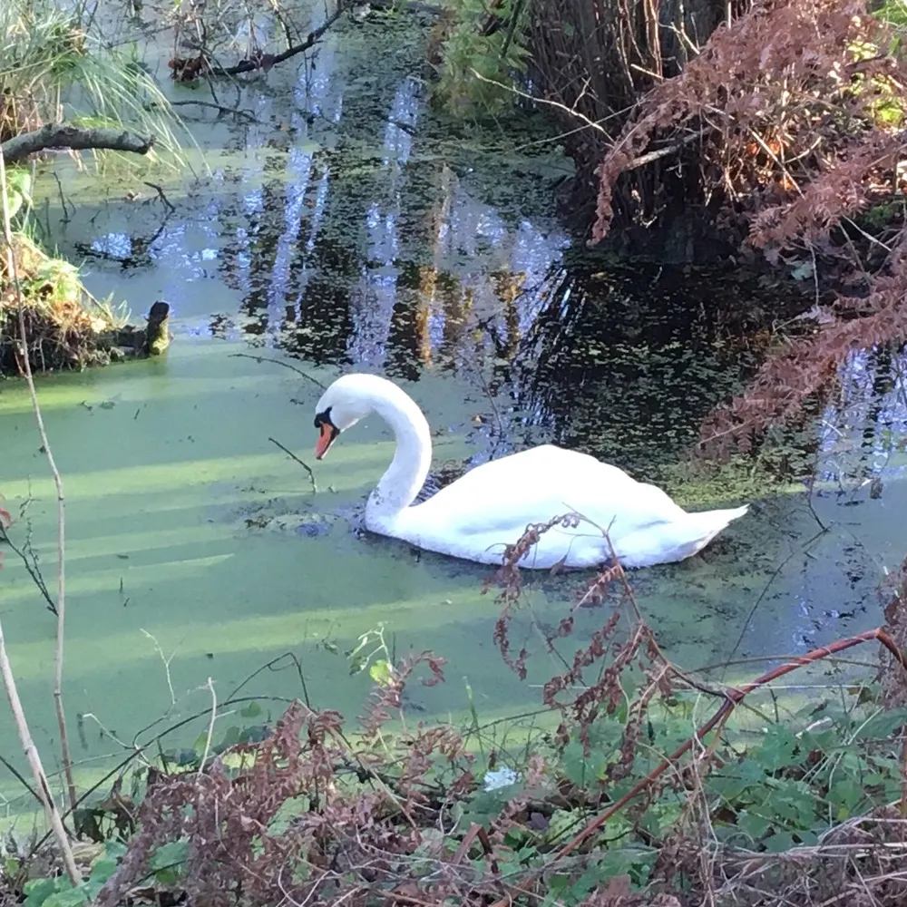 futurestand.bsky.social's profile picture