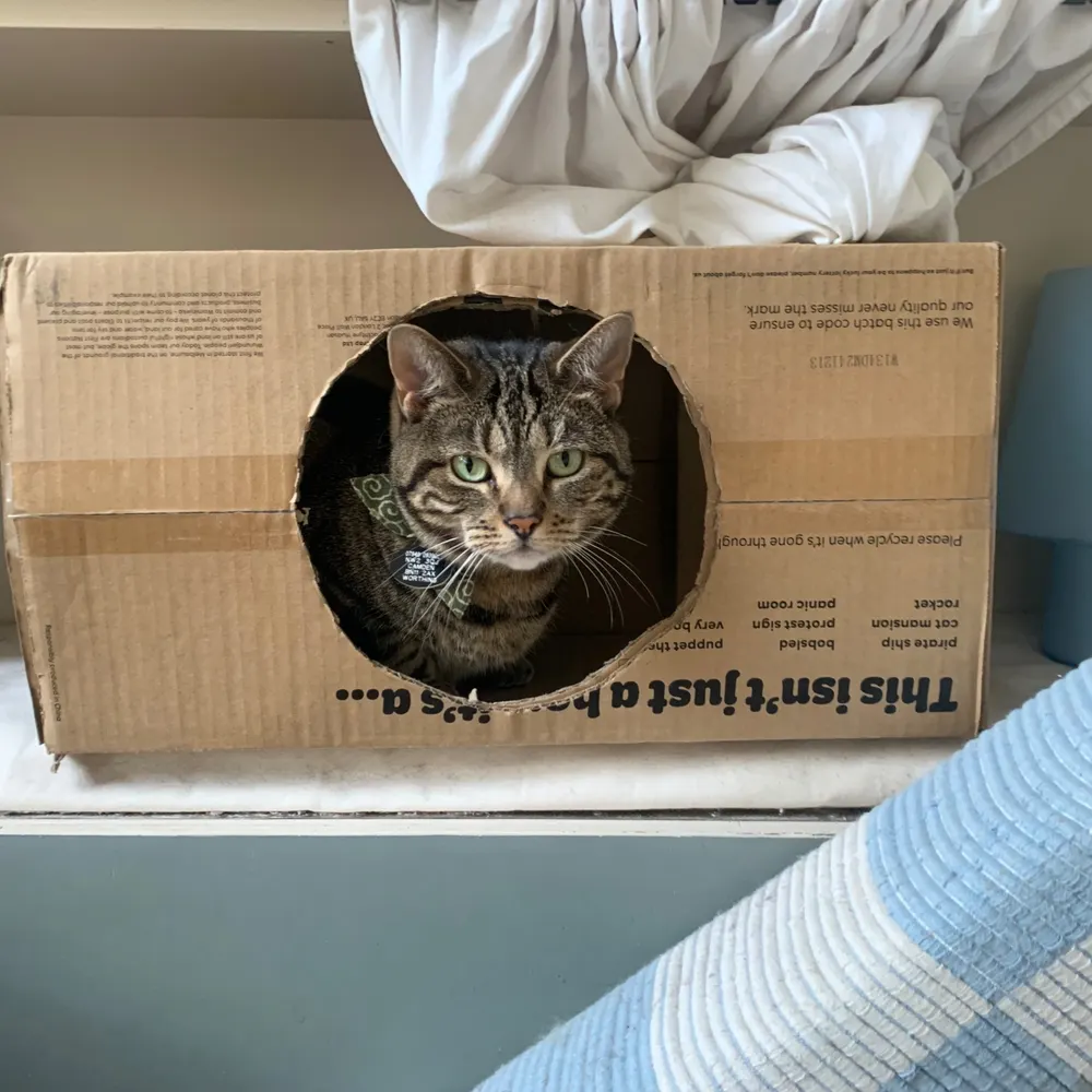 oliveeaton16.bsky.social's profile picture