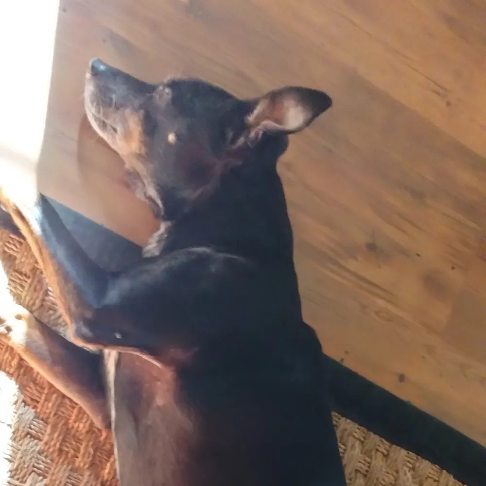 merrymaking.bsky.social's profile picture