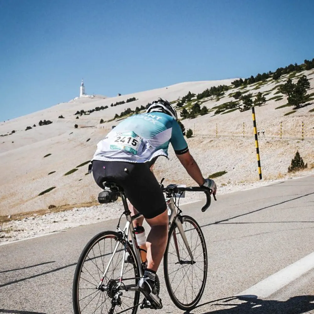 eltorosolo.bsky.social's profile picture