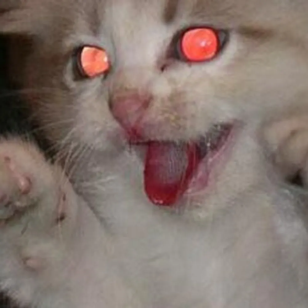 madcatjo2point0.bsky.social's profile picture