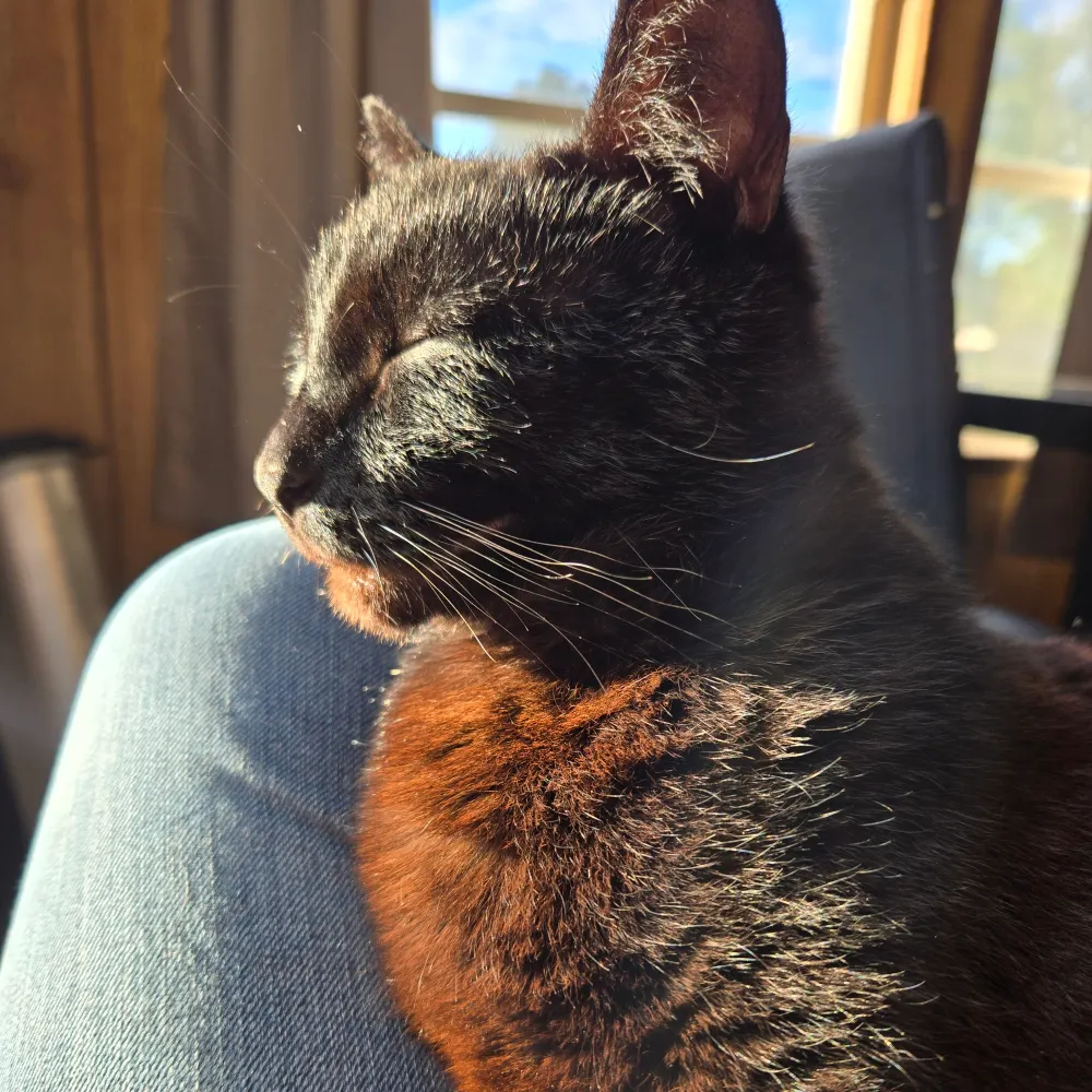 karimancer.bsky.social's profile picture