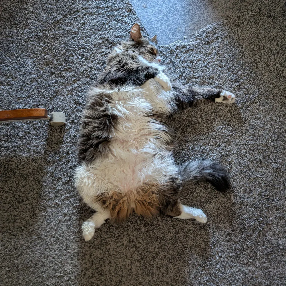 princeennui.bsky.social's profile picture