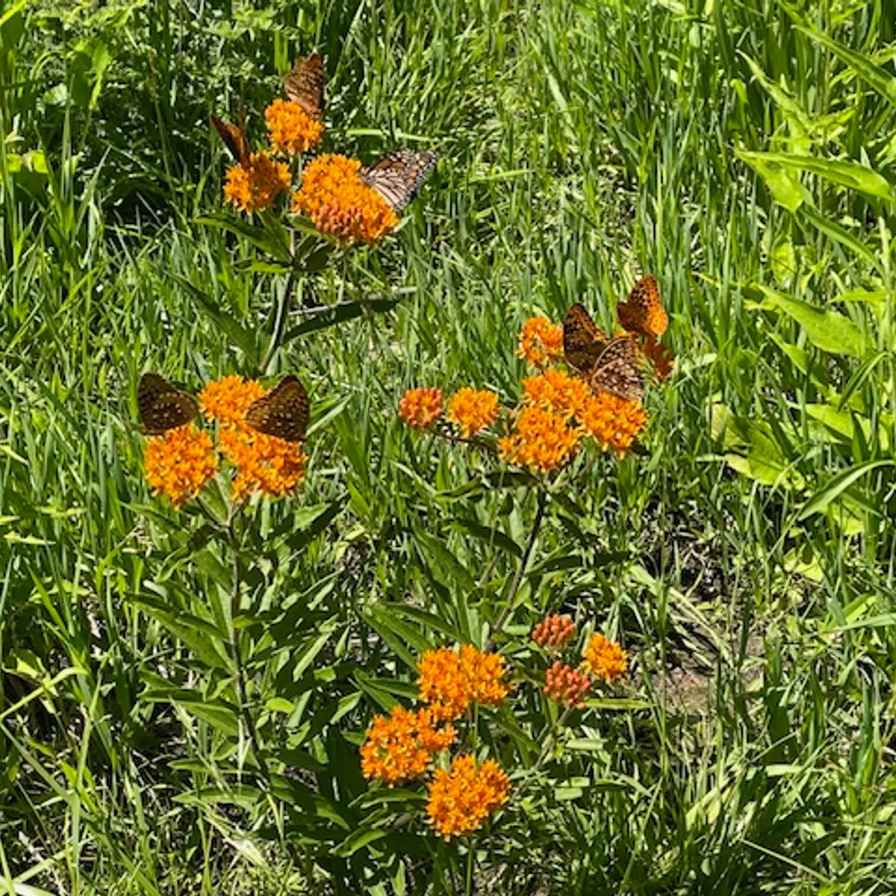 dawgsrule7.bsky.social's profile picture