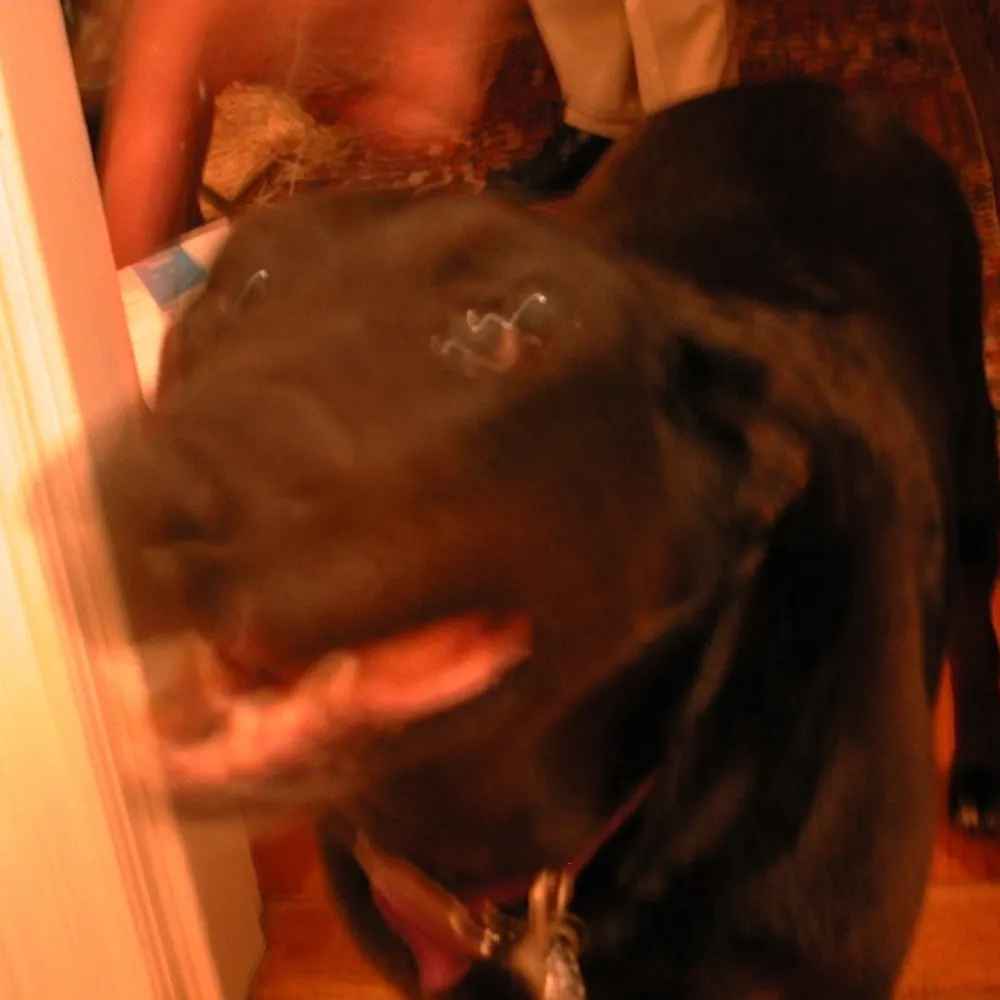 spamriskegypt.bsky.social's profile picture