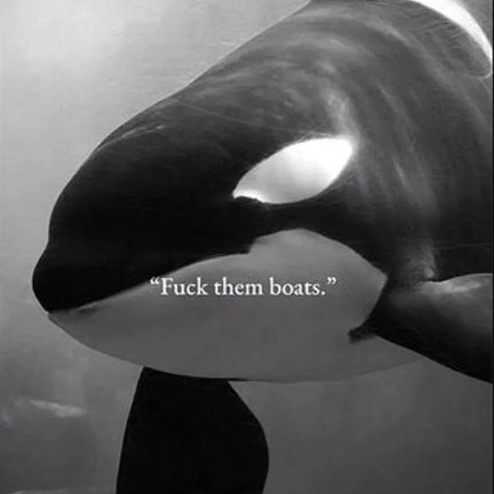 colemcm75.bsky.social's profile picture