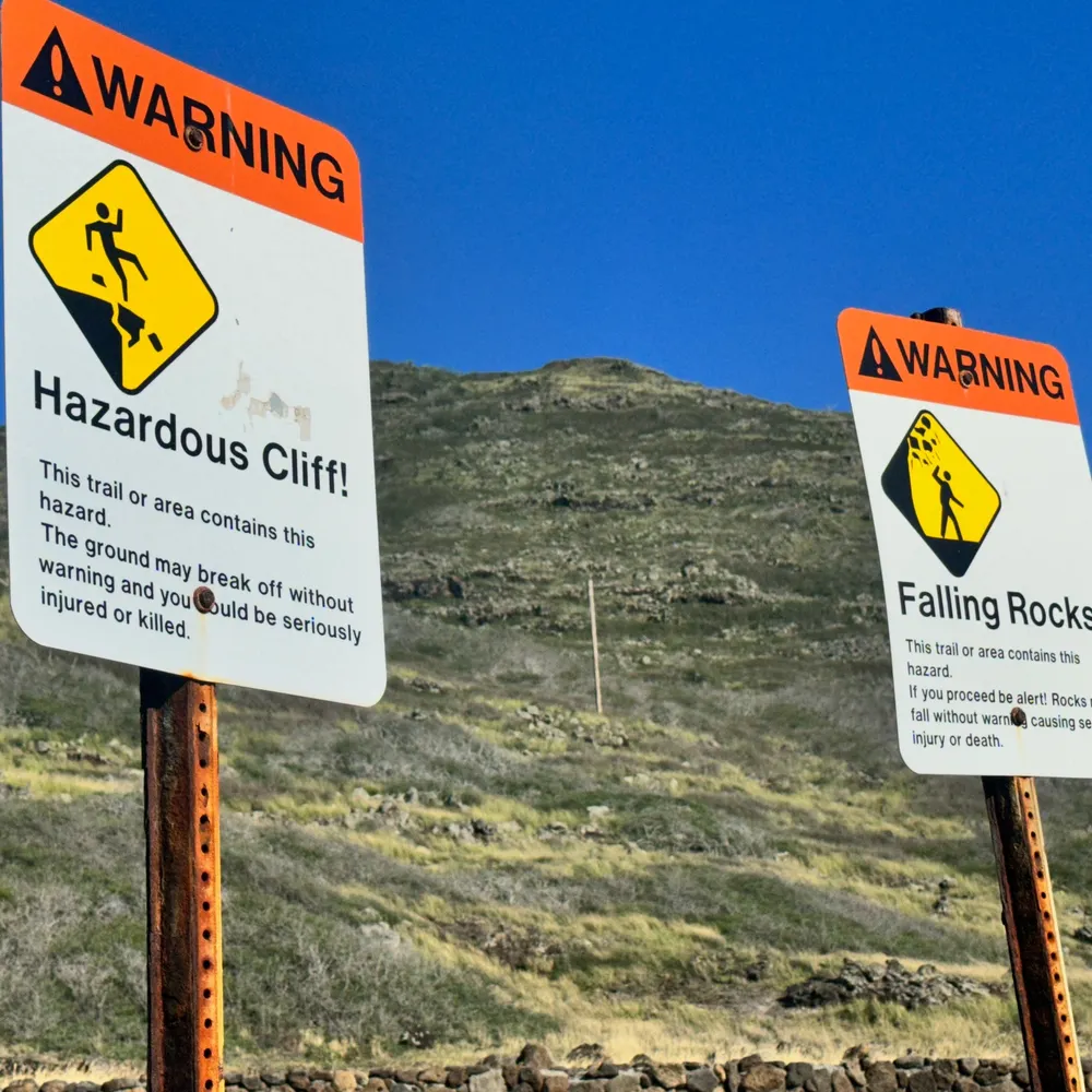 divasocials.bsky.social's profile picture