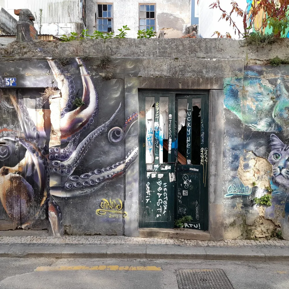 peterchaves.bsky.social's profile picture