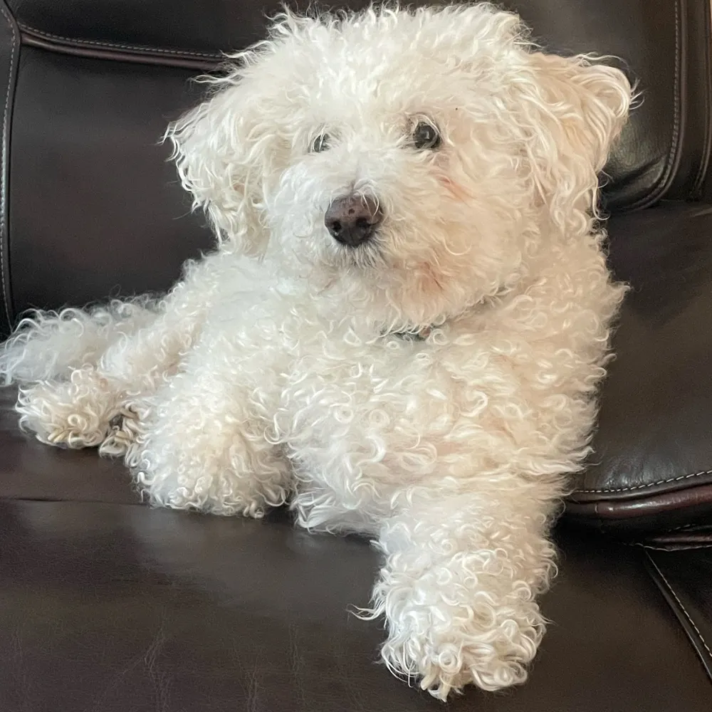 valdavydov.bsky.social's profile picture