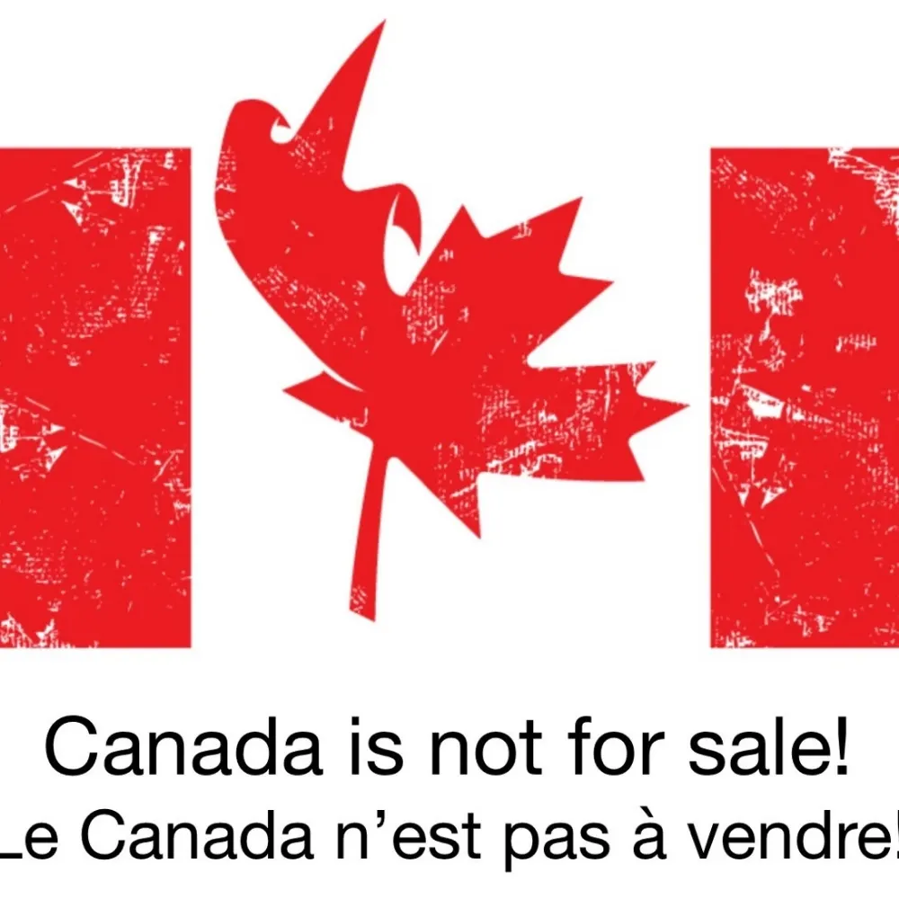 fan-in-exile.bsky.social's profile picture