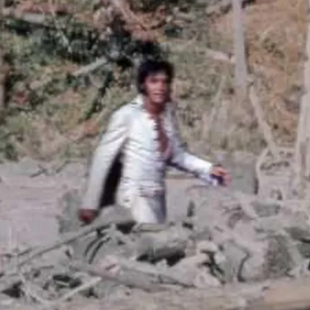 malt-dismay.bsky.social's profile picture