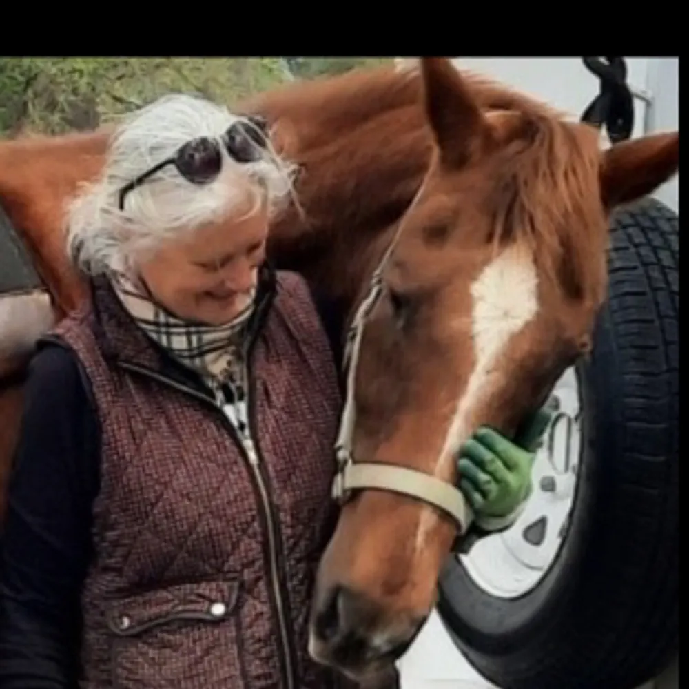 horseyone.bsky.social's profile picture