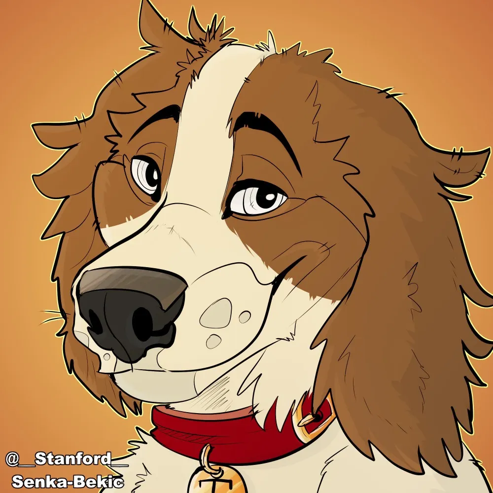 theospaniel.bsky.social's profile picture