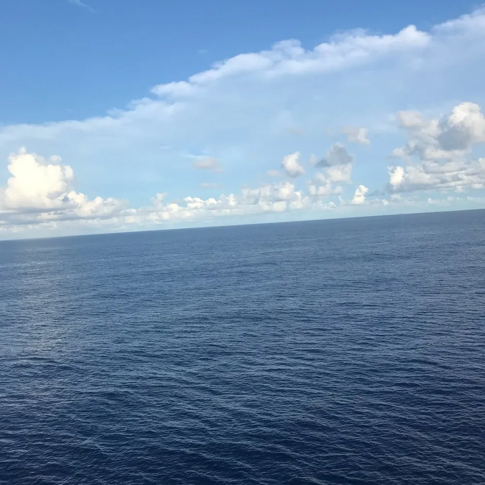 zenintx.bsky.social's profile picture