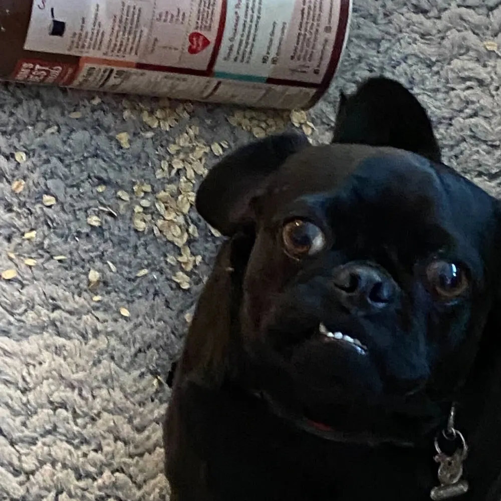 thrusty.bsky.social's profile picture