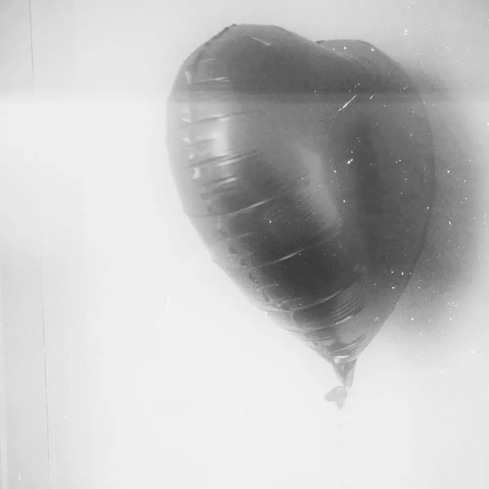 scousin.bsky.social's profile picture