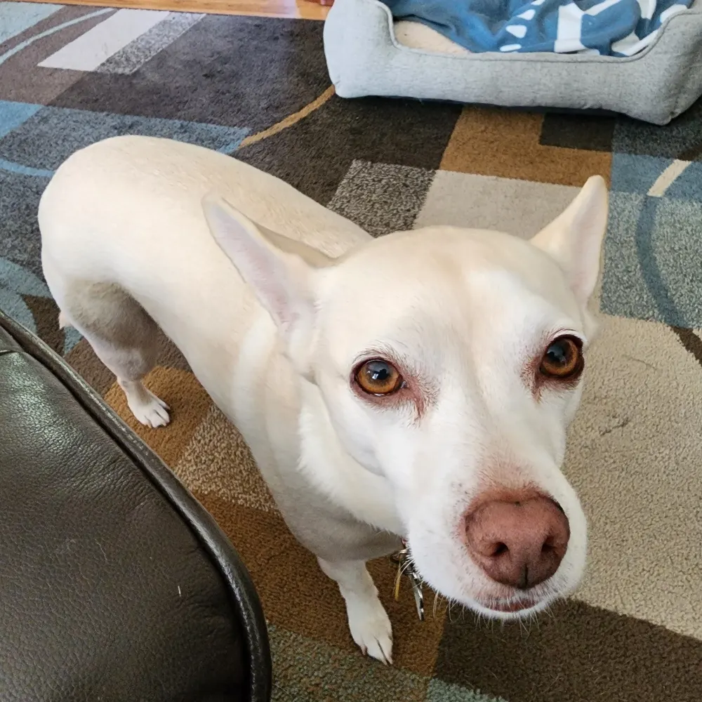 bsnyder167.bsky.social's profile picture