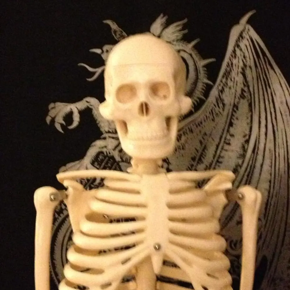 will-scura.bsky.social's profile picture