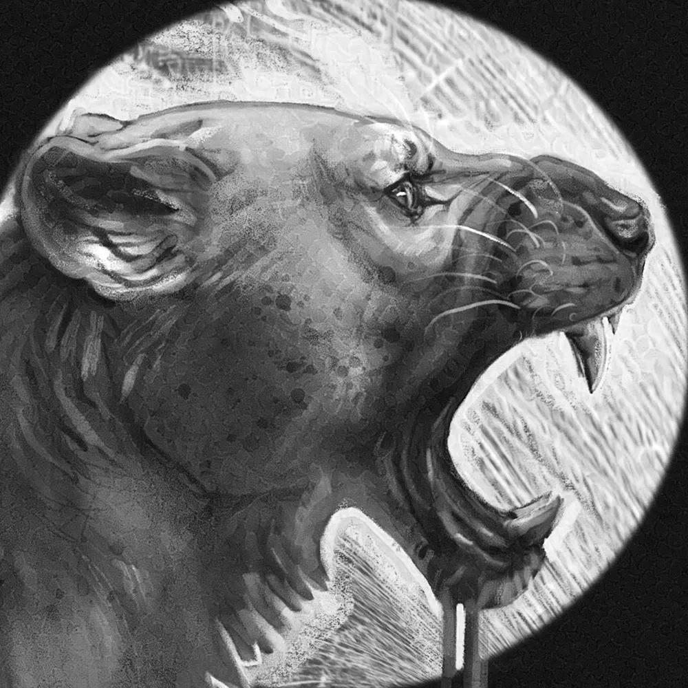 stebenillustration.bsky.social's profile picture